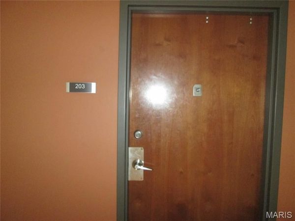 1520 Washington Avenue , Unit 203, St Louis, MO 63103