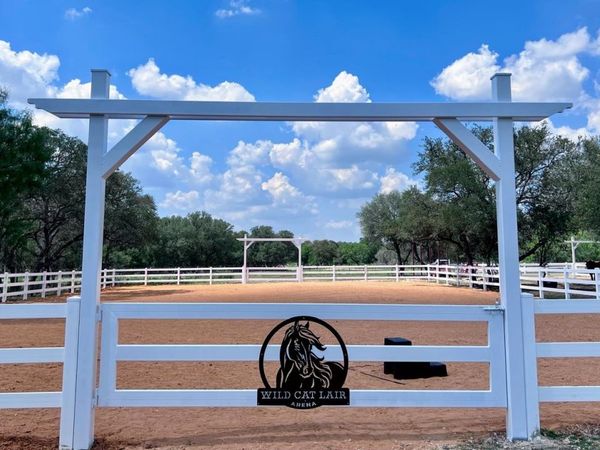 14018 WILD CAT LAIR, San Antonio, TX 78253