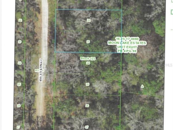 MALATI STREET , NEW PORT RICHEY, FL 34654