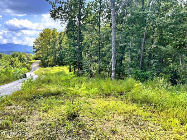 125 Chestnut Mountain Rd , Unit 1, Reliance, TN 37369