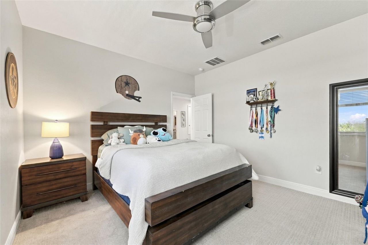 113 Peace River Court, Groveland, FL 34736 Photo