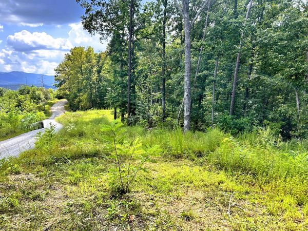 107/125 Chestnut Mountain Road, Reliance, TN 37369