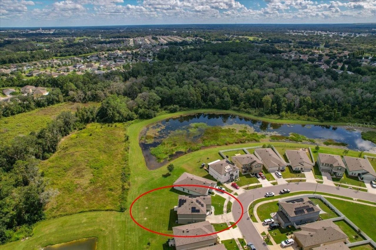 Please Call For Address, Zephyrhills, FL 33541 Photo