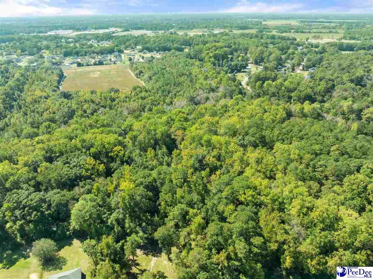 1036 Spring Acres Dr Photo 4