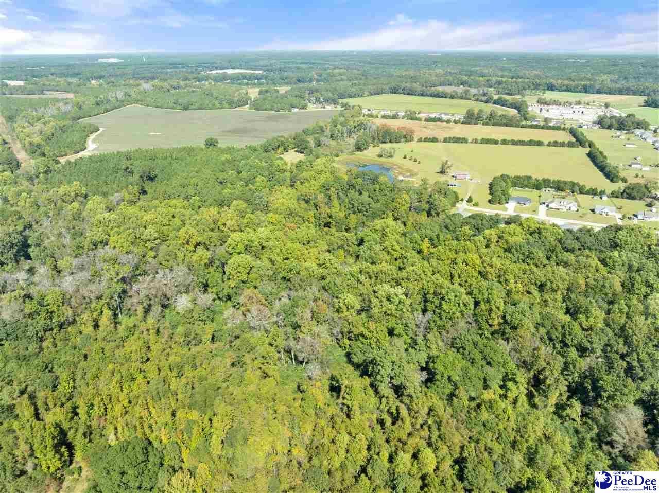 1036 Spring Acres Dr Photo 5