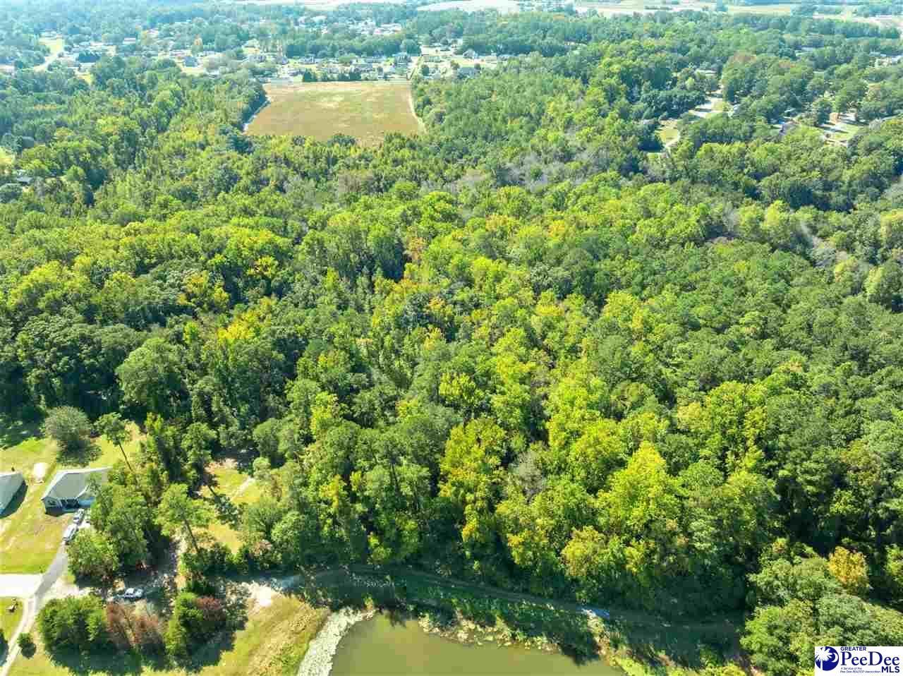 1036 Spring Acres Dr Photo 7