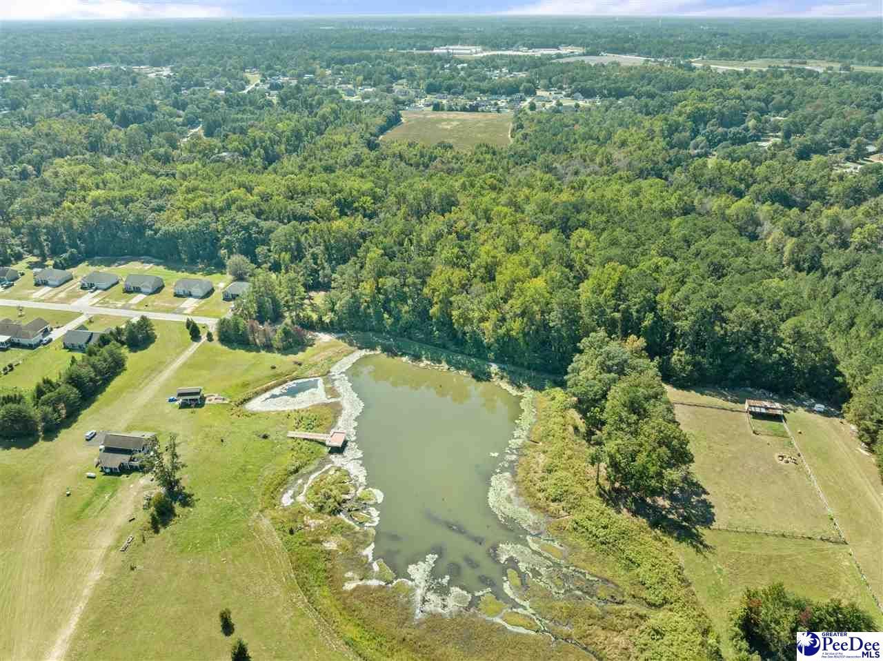 1036 Spring Acres Dr Photo 8