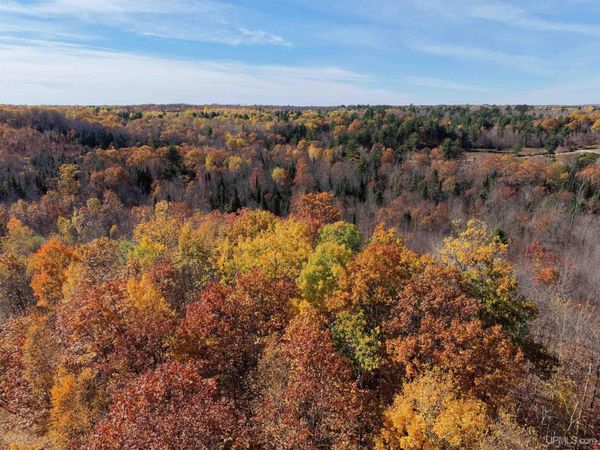 TBD Youngs Road, Sands Twp, MI 49841