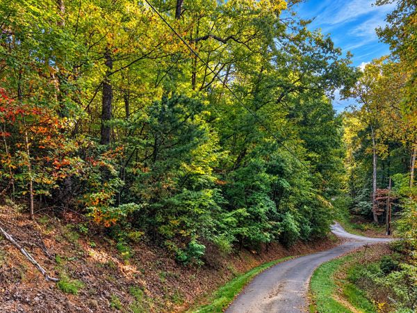 0 School House Gap Rd N, Unit 1481, Sevierville, TN 37876