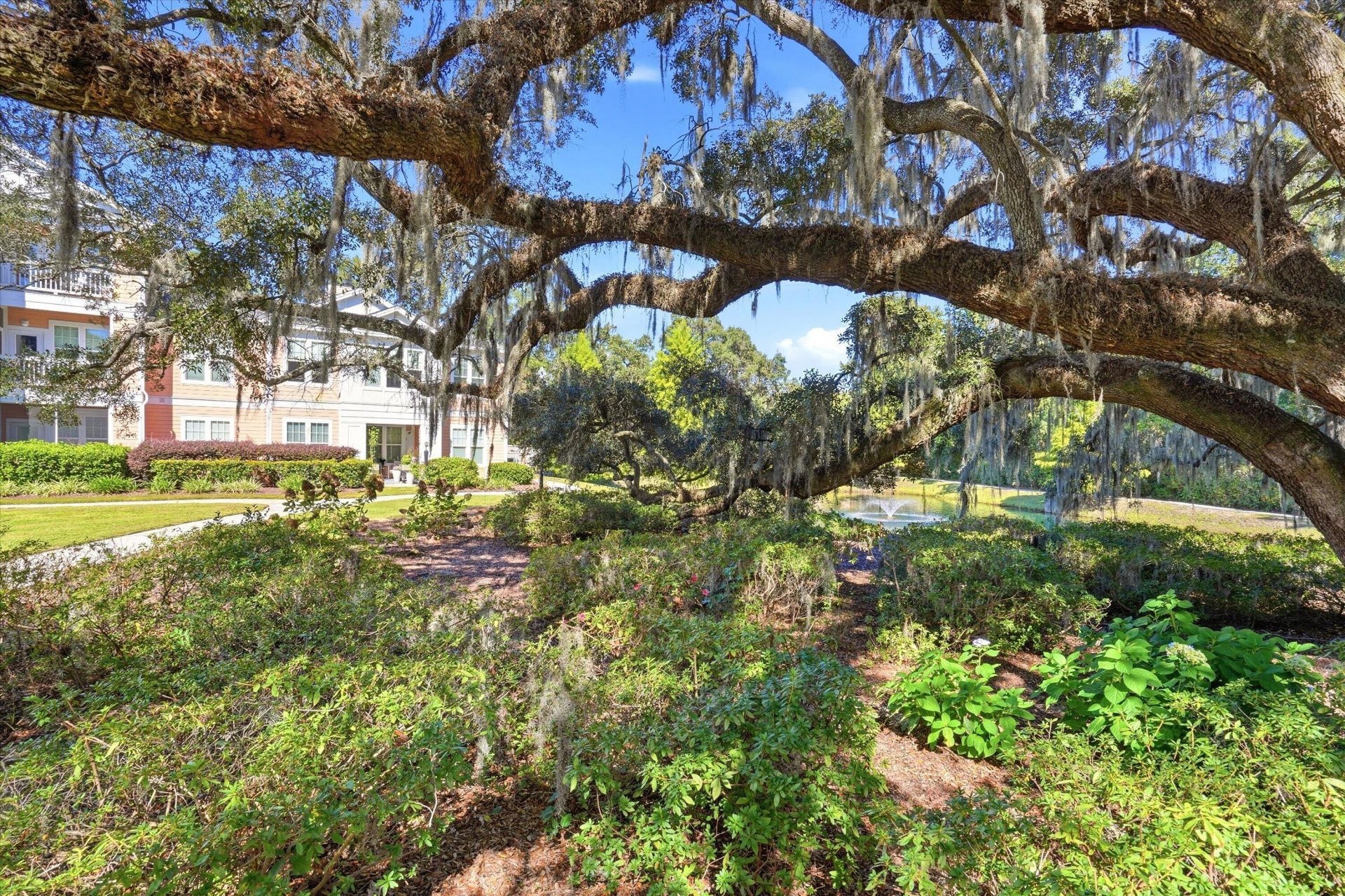 2217 Chatelain Way Photo 23