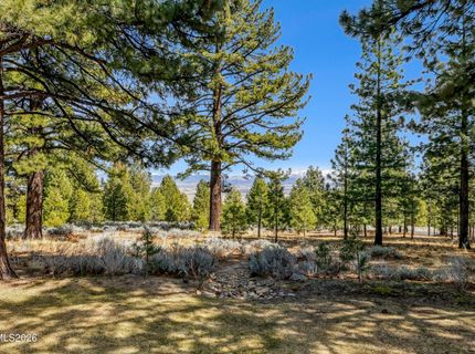 210 Sheridan Creek Court, Gardnerville, NV 89460 Photo