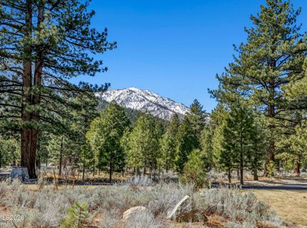 210 Sheridan Creek Court, Gardnerville, NV 89460 Photo