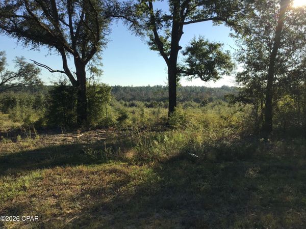 00000 Pate Pond Rd Road , Caryville, FL 32427