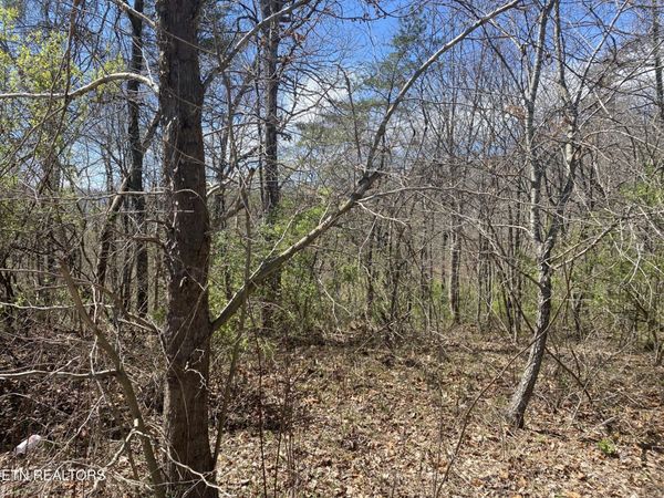 6 HWY 127 NORTH , Unit 6, Crossville, TN 38555
