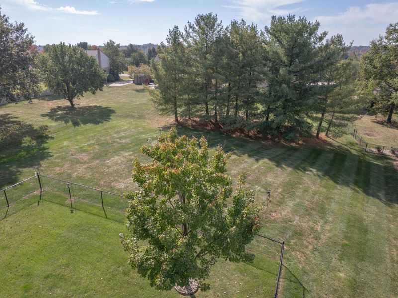 8069 Trailwood Court, Florence, KY 41042 Photo 4