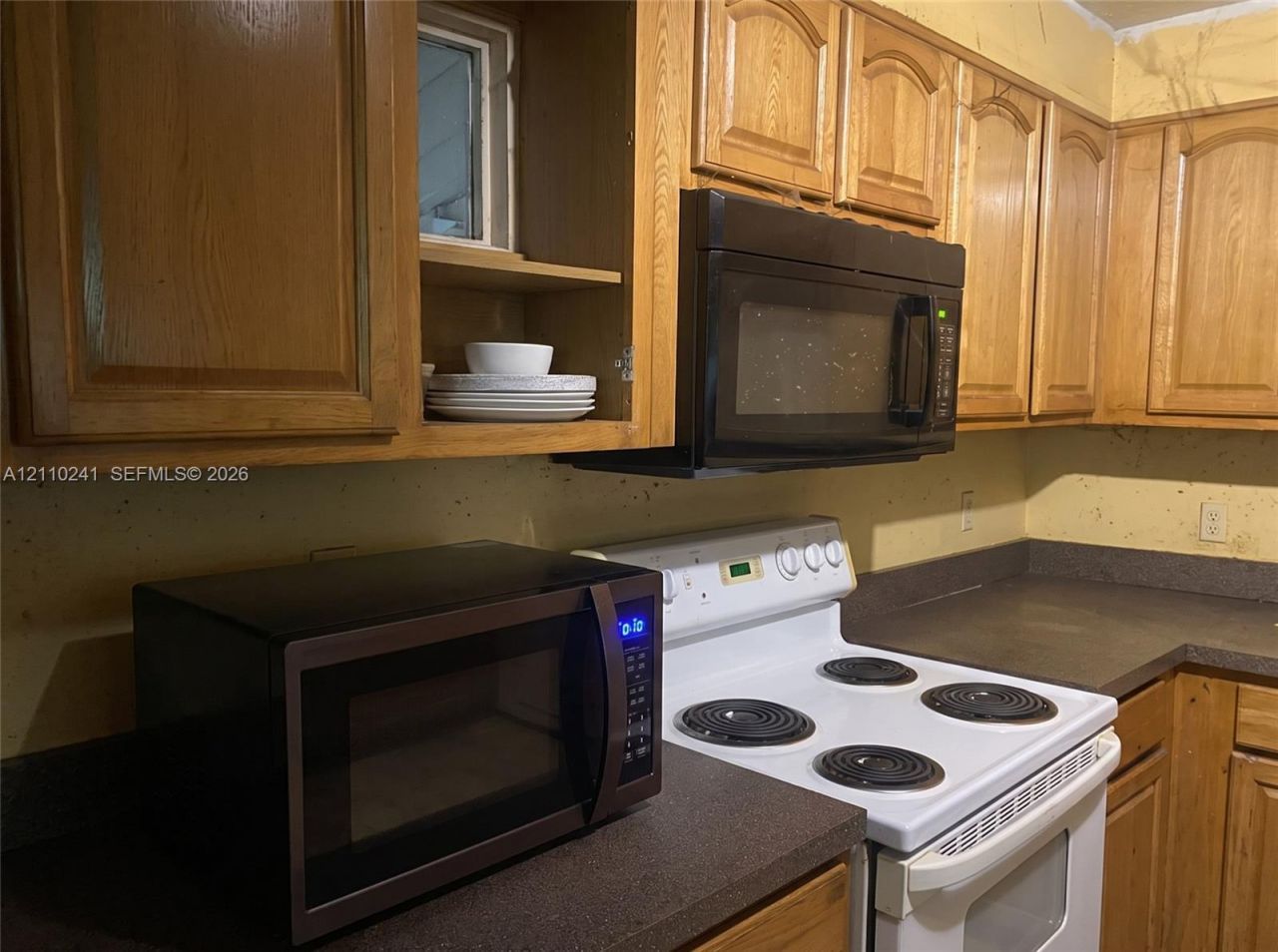 101 NE Schoolhouse Ln , Mayo, FL 32066 Photo