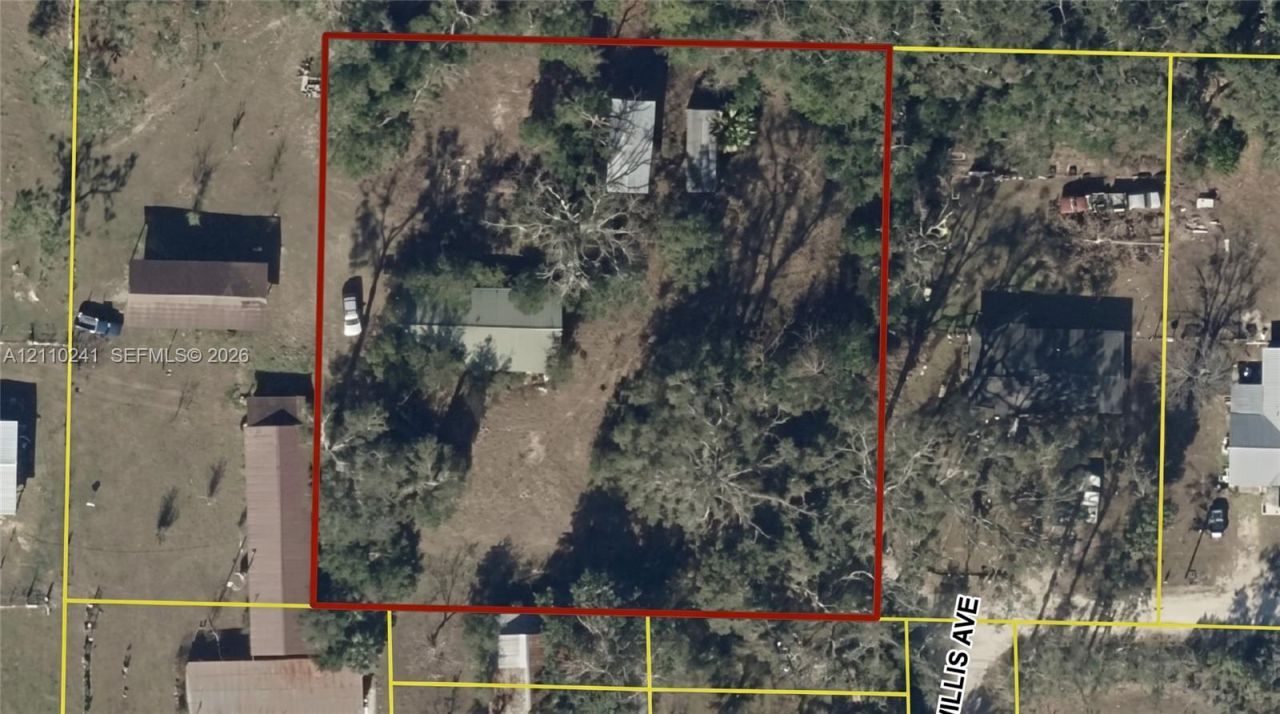 101 NE Schoolhouse Ln , Mayo, FL 32066 Photo