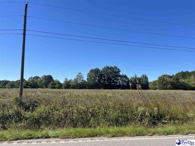 Screwpin Road, Blenheim, SC 29516