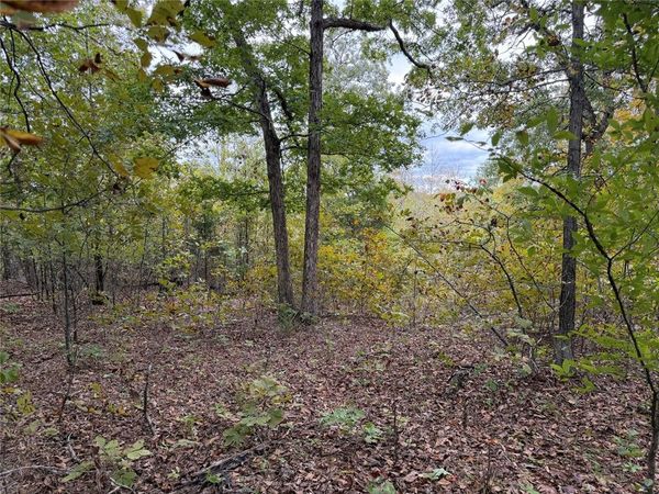 Minnow Road , St Joe, AR 72675
