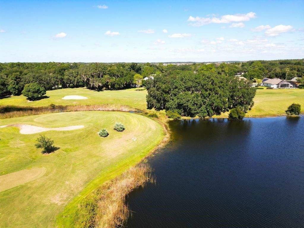 9013 Heathland Court, Mount Dora, FL 32757 Photo