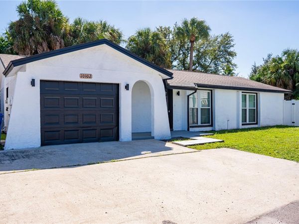 10102 MISSY COURT , TAMPA, FL 33615