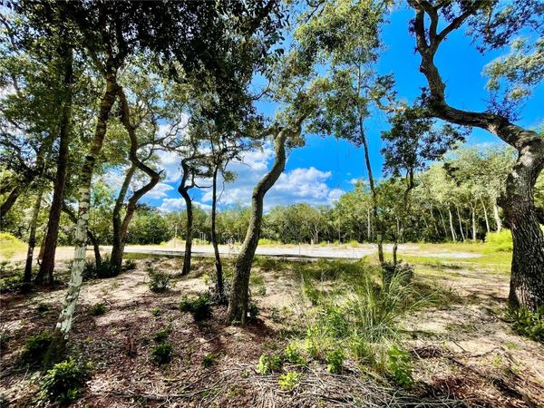47125 EAST AVENUE, PAISLEY, FL 32767