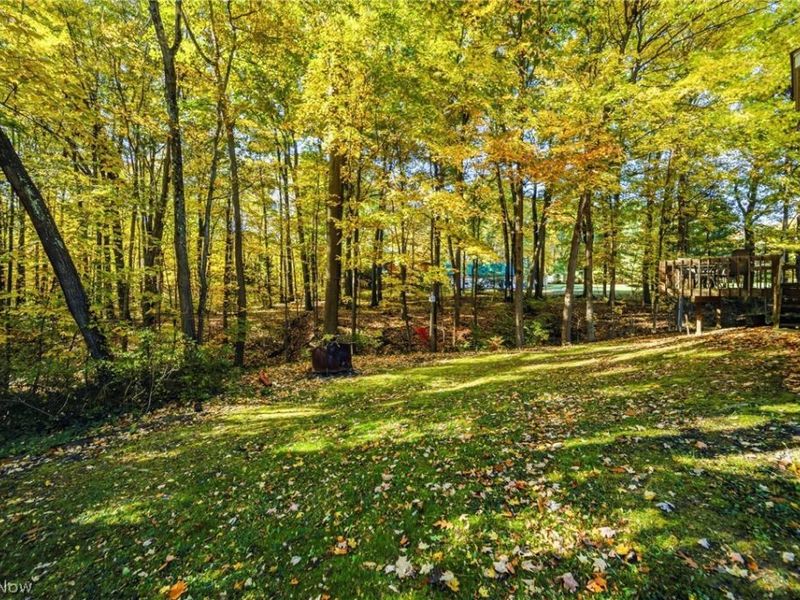 16425 Stagecoach Drive , Garrettsville, OH 44231 Photo 5