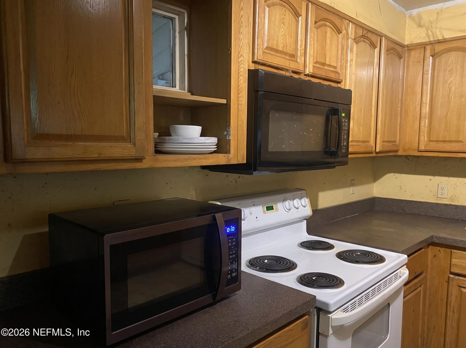 101 NE Schoolhouse Lane, Mayo, FL 32066 Photo