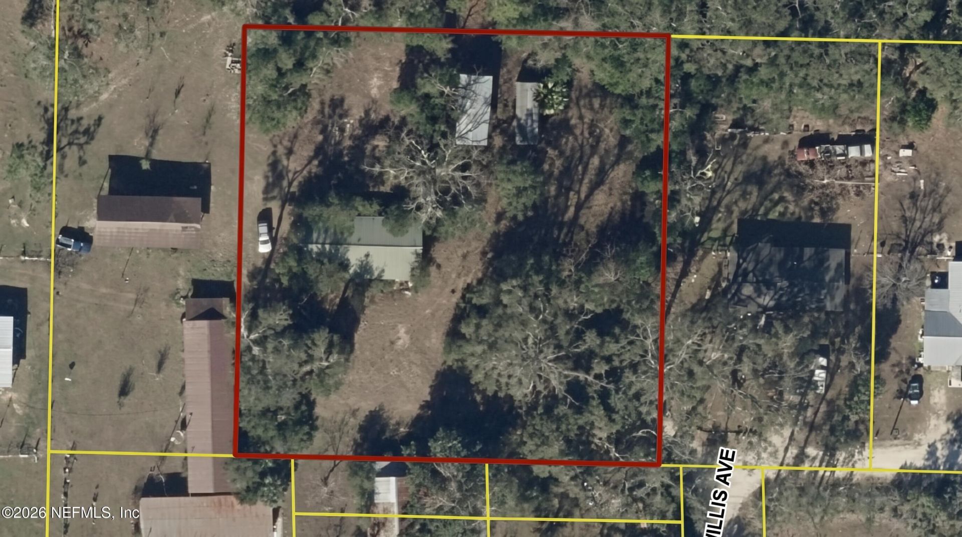 101 NE Schoolhouse Lane, Mayo, FL 32066 Photo