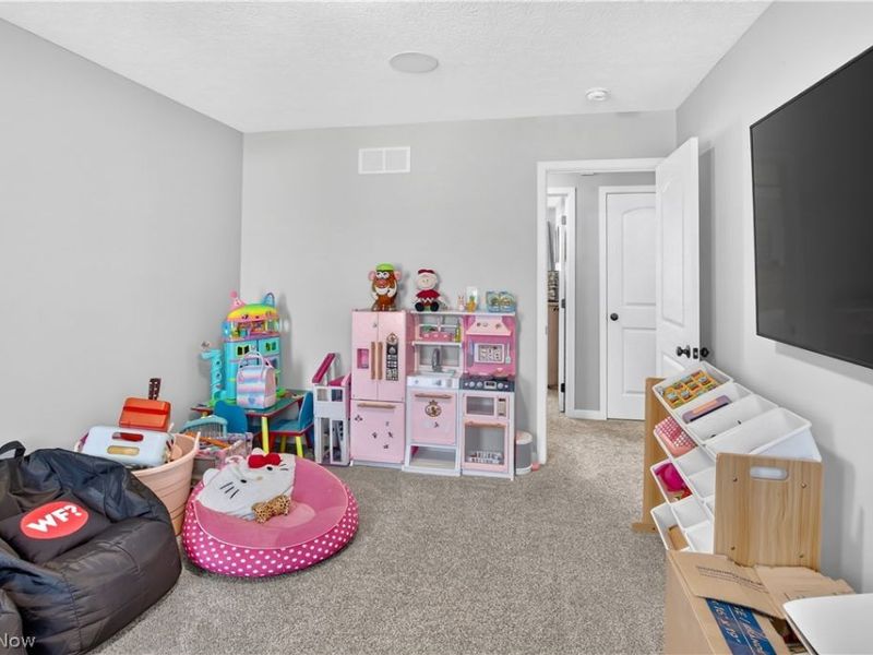 217 Savage Street, Berea, OH 44017 Photo 30