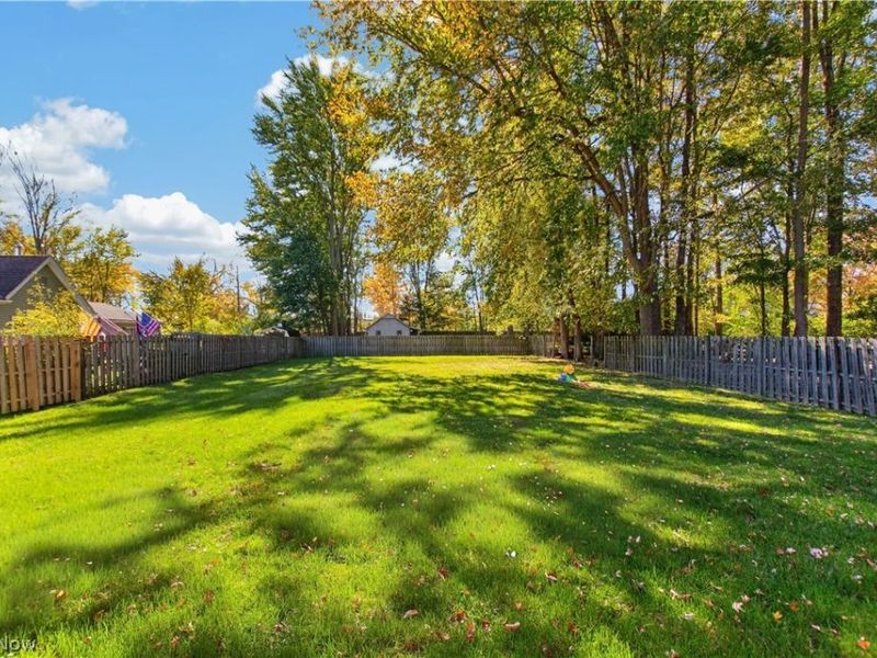 217 Savage Street, Berea, OH 44017 Photo 38