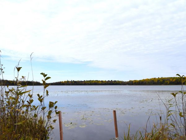 67351 Tranquility Trail , Effie, MN 56639