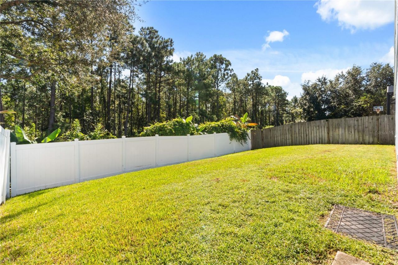 4533 Northern Dancer Way , Orlando, FL 32826 Photo