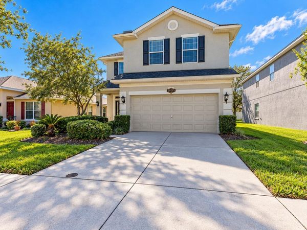 20215 NATURES SPIRIT DRIVE , TAMPA, FL 33647