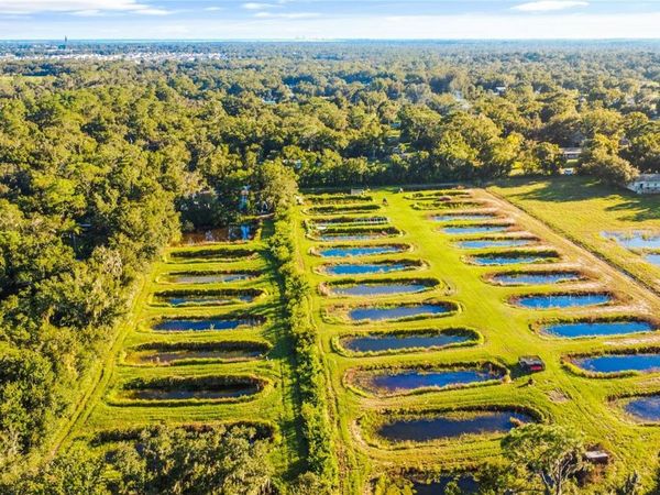 5010 RUTH MORRIS ROAD , WIMAUMA, FL 33598