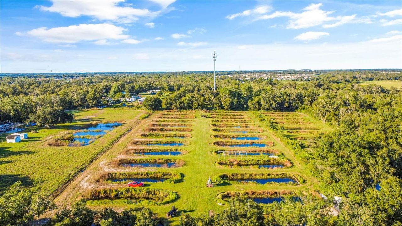 5010 Ruth Morris Road , Wimauma, FL 33598 Photo