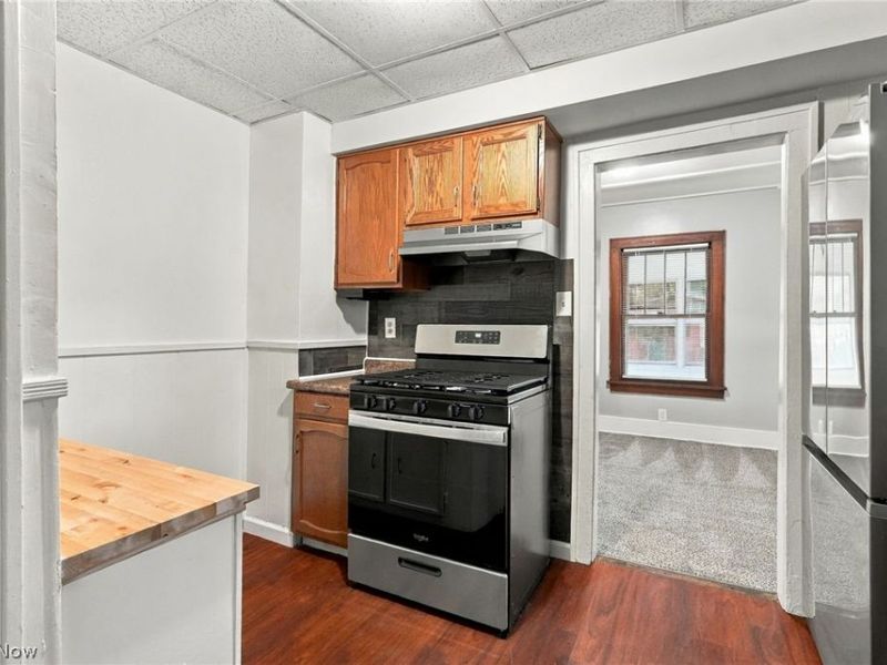 1155 Big Falls Avenue, Akron, OH 44310 Photo 10