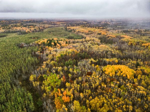 TBD TBD , Aitkin, MN 56431
