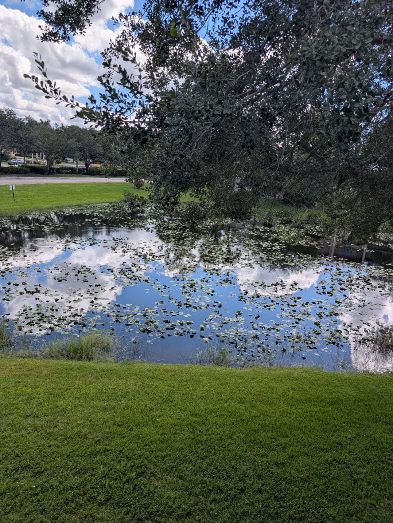 280 Crestwood Circle, Unit 205, Royal Palm Beach, FL 33411 Photo