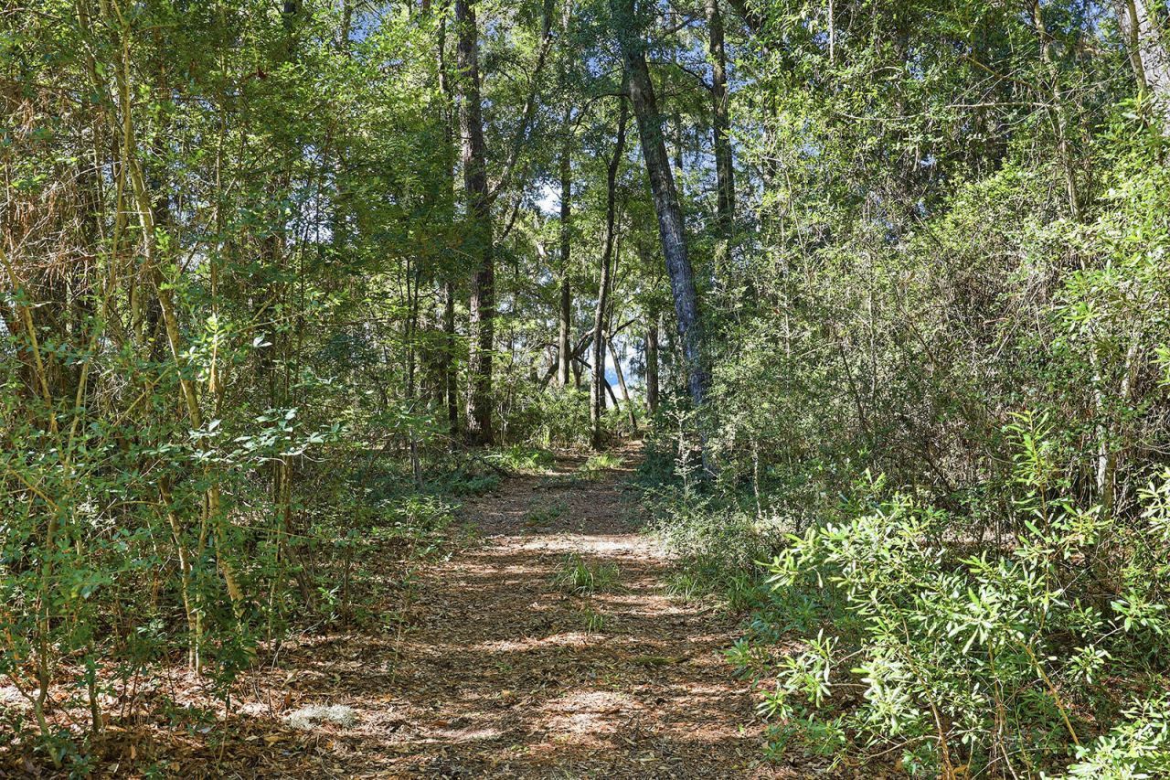 186 Bull Point Drive Photo 16