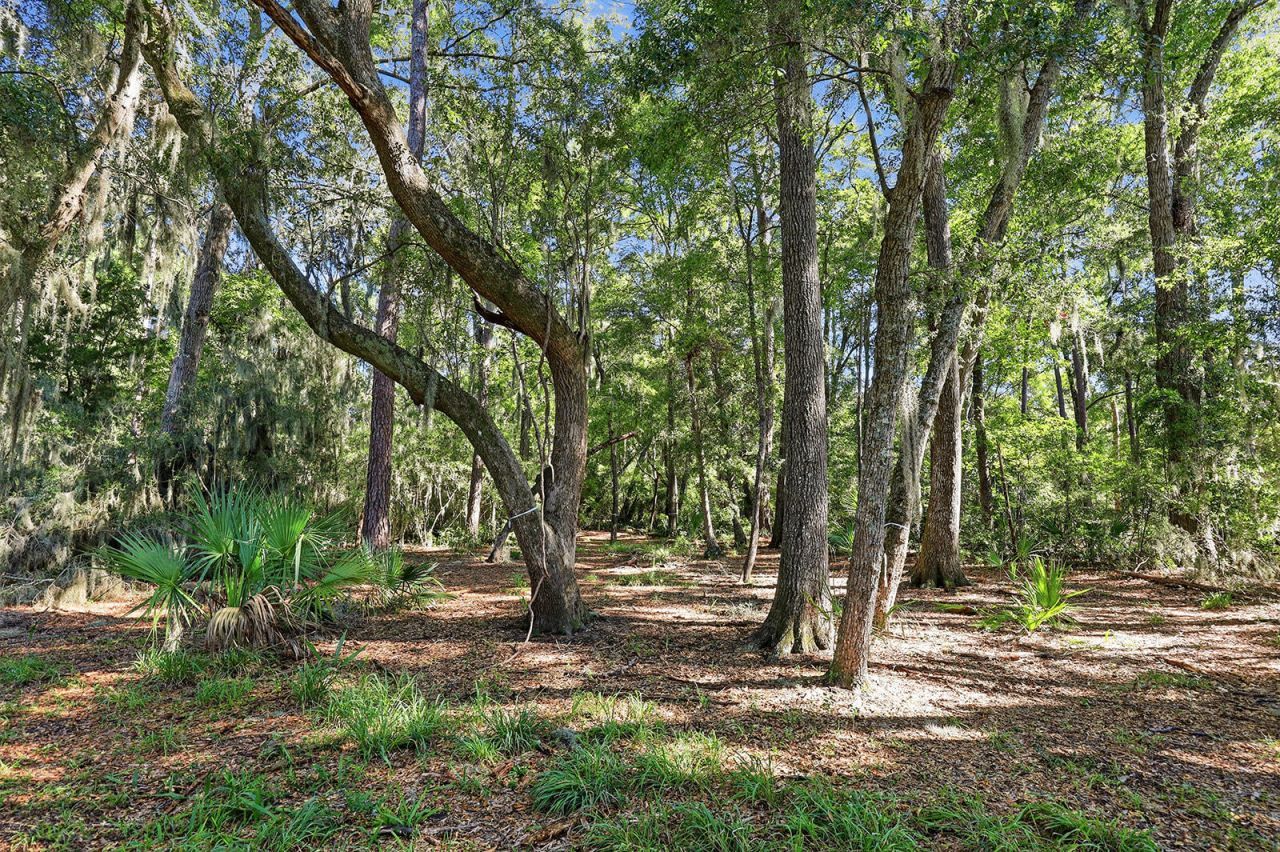 186 Bull Point Drive Photo 22