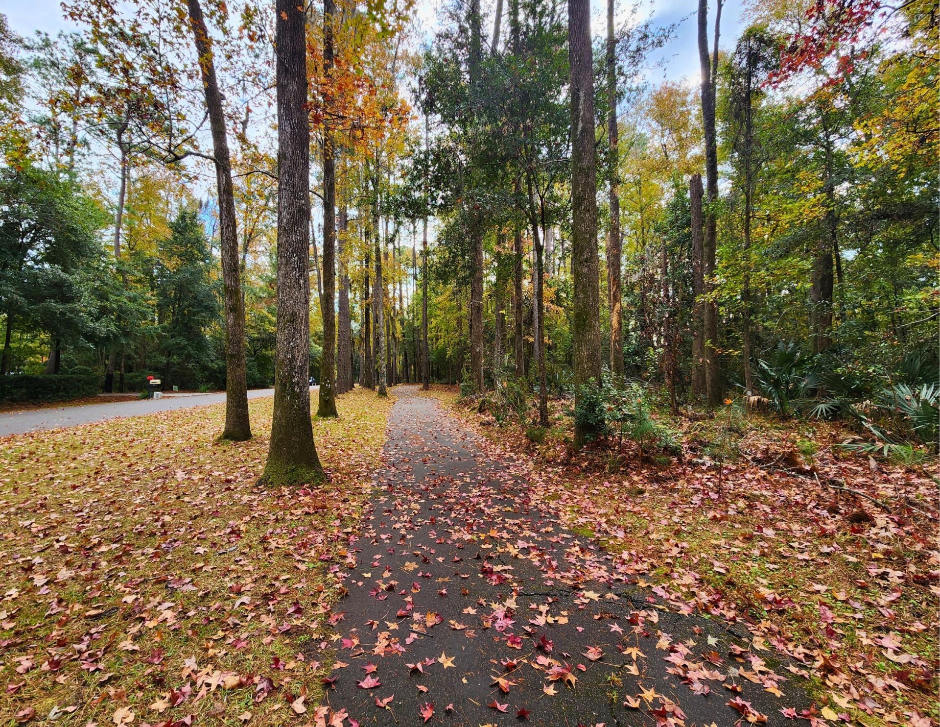 186 Bull Point Drive Photo 45