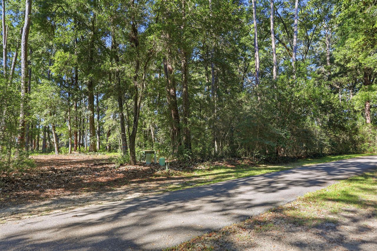 186 Bull Point Drive Photo 80