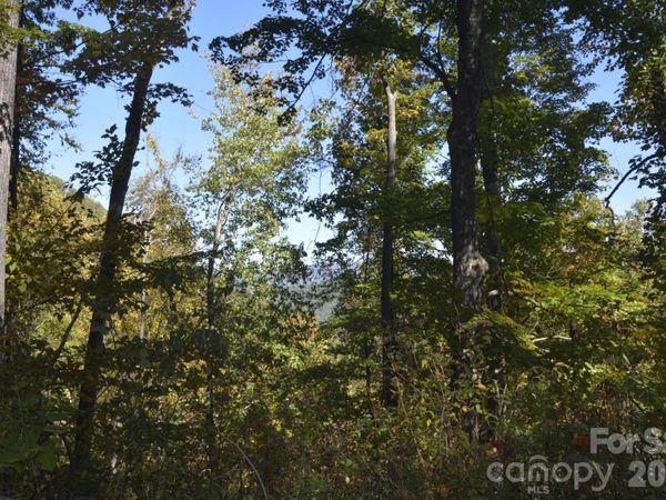 00 Bedford Road, Barnardsville, NC 28709