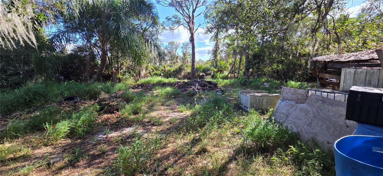1441 Crossview Street, Lake Placid, FL 33852 Photo