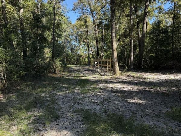3569 282nd Ter, Branford, FL 32008