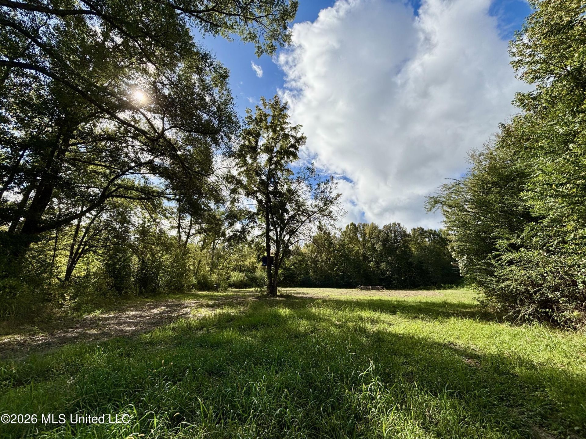 000 Hwy 28, Fayette, MS 39069 Main Photo
