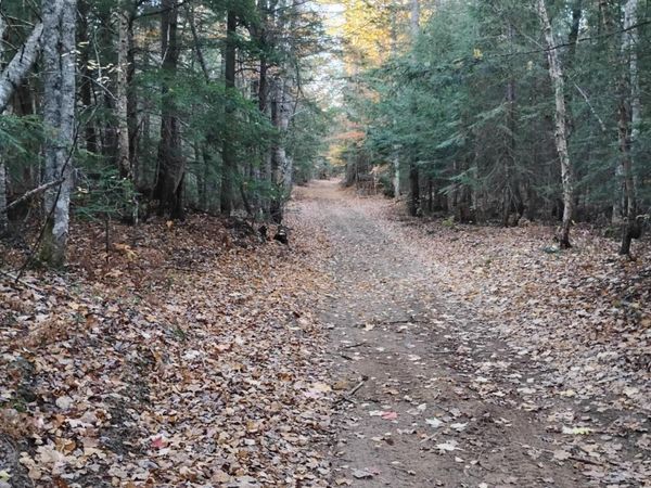 v/l 20ac W Verns Road, Paradise, MI 49768