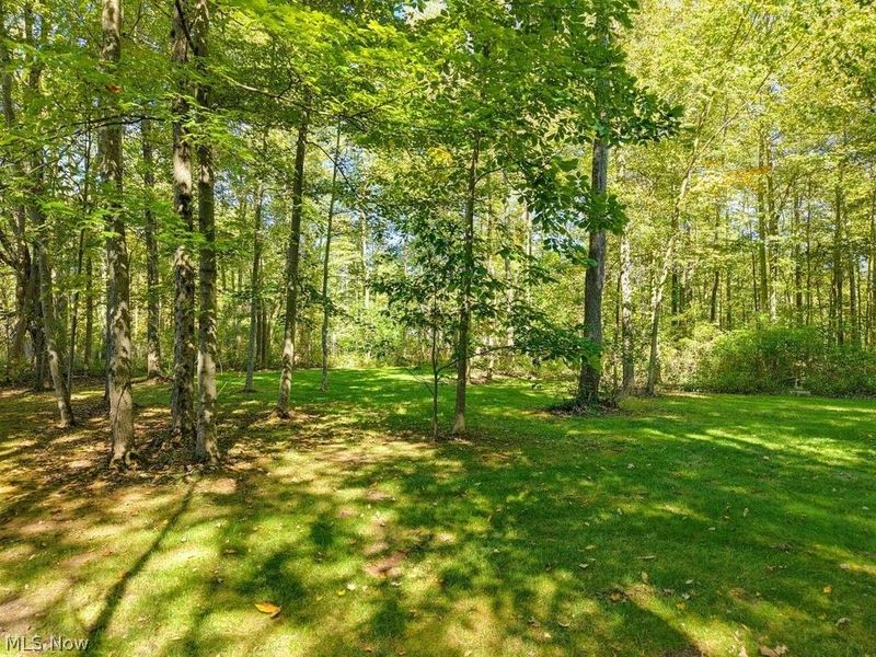 16210 Snow Rd , Burton, OH 44021 Photo 45