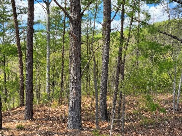 90 Mountain Blvd, Unit 90, Sevierville, TN 37876
